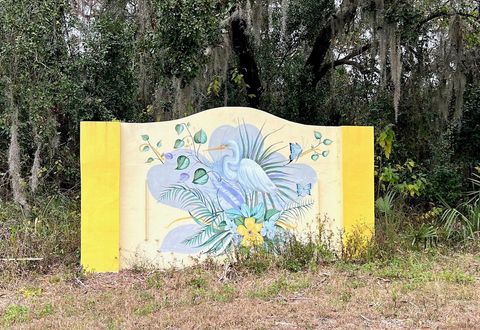 A home in HOMOSASSA