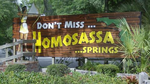 A home in HOMOSASSA