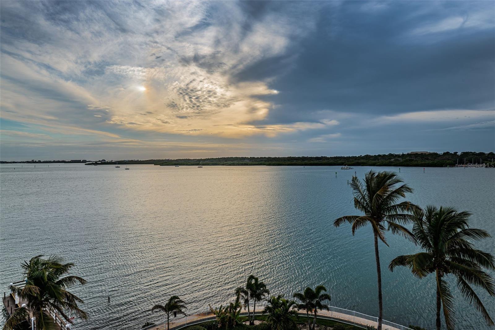8800 BAY PINES BOULEVARD 409