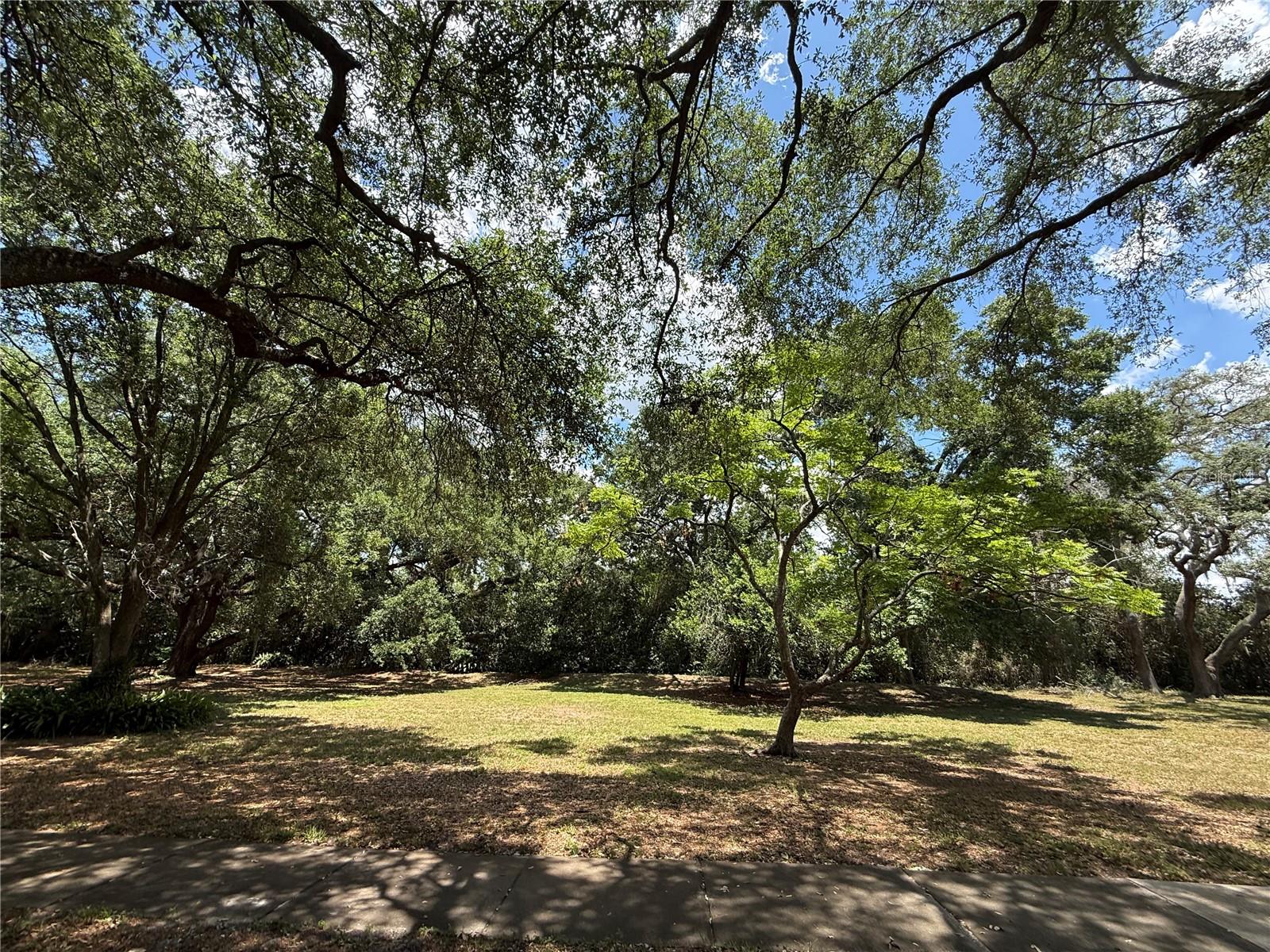 RAINTREE MANOR HOMES CONDOMINIUM - Residential