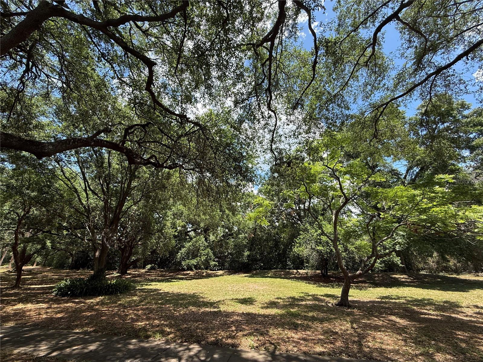 RAINTREE MANOR HOMES CONDOMINIUM - Residential