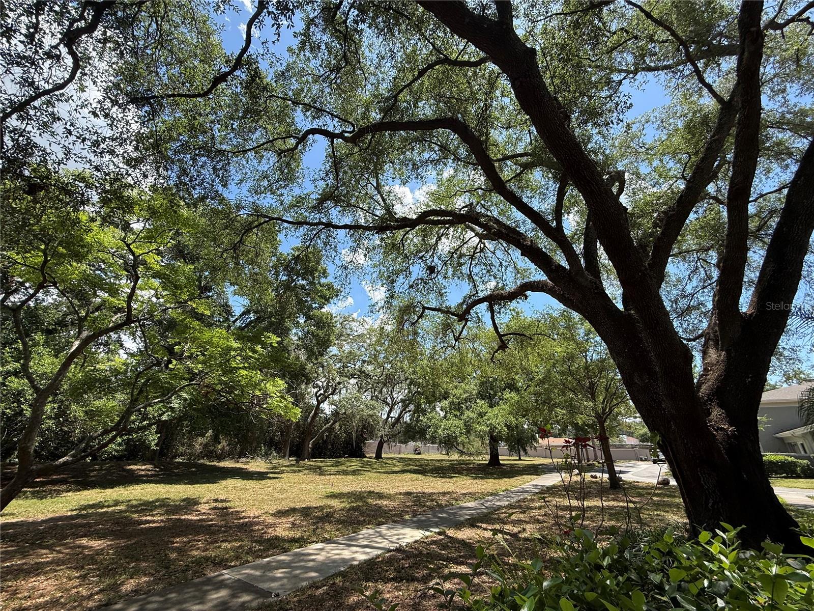 RAINTREE MANOR HOMES CONDOMINIUM - Residential