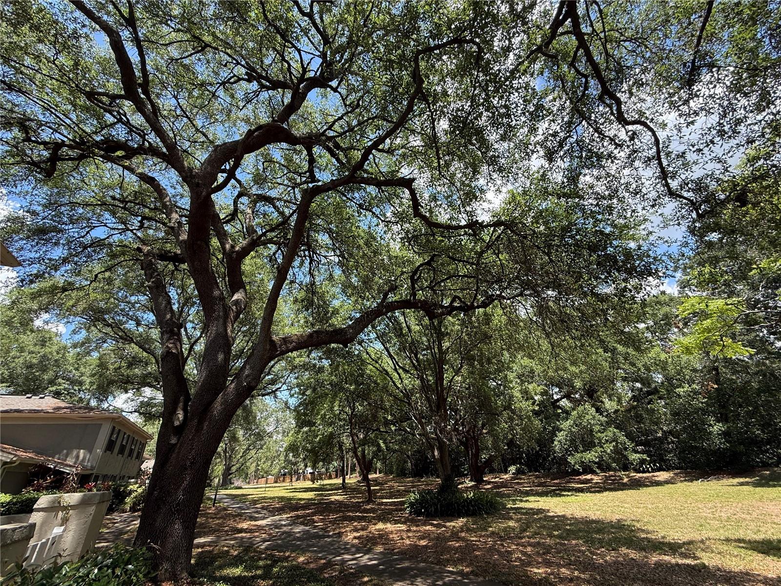 RAINTREE MANOR HOMES CONDOMINIUM - Residential