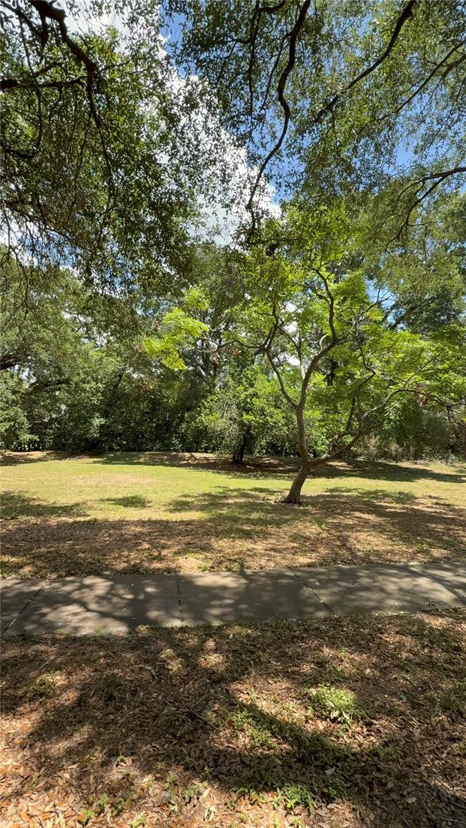 RAINTREE MANOR HOMES CONDOMINIUM - Residential