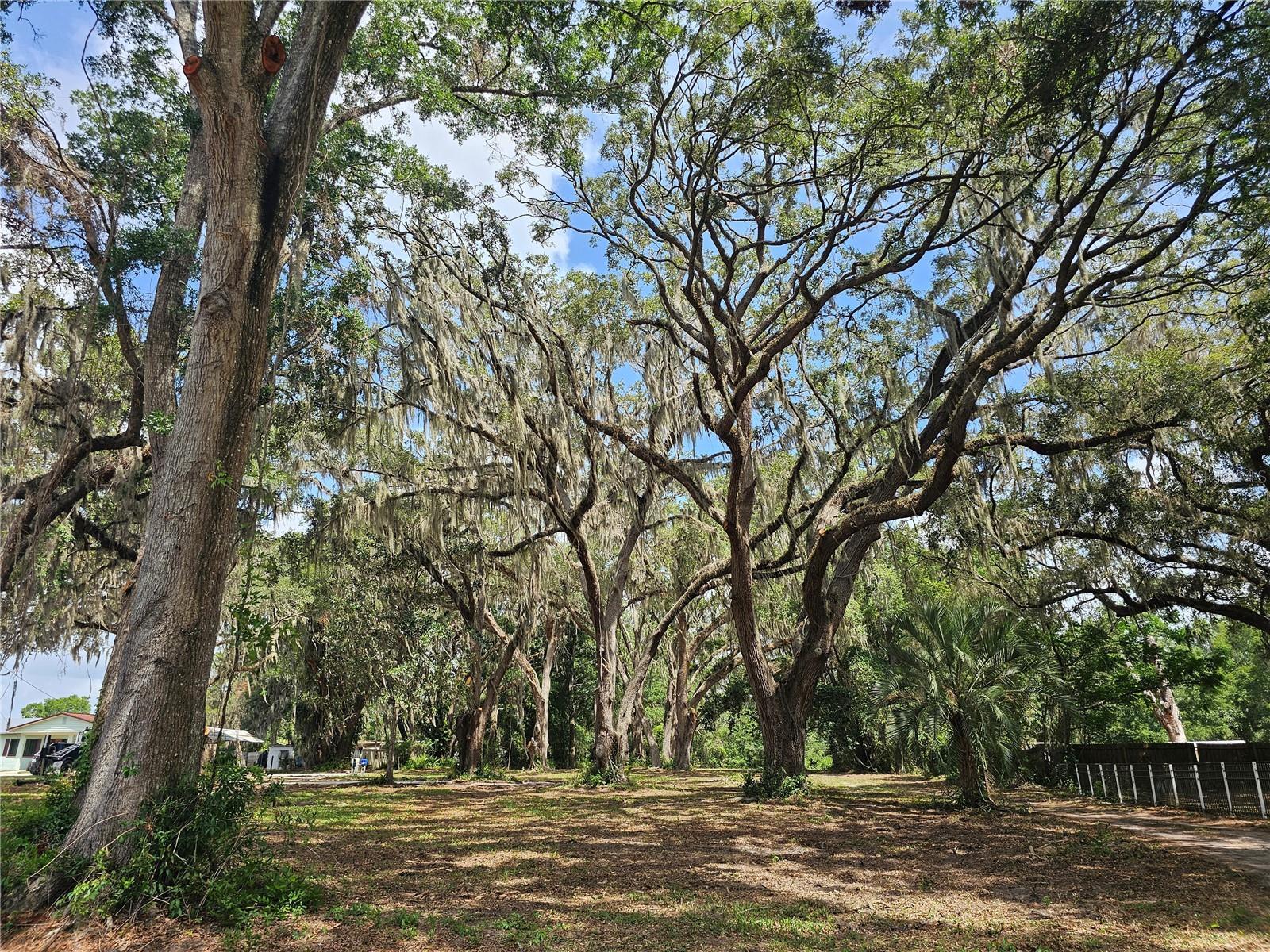 BELLEVIEW RIDGE ESTATE - Land