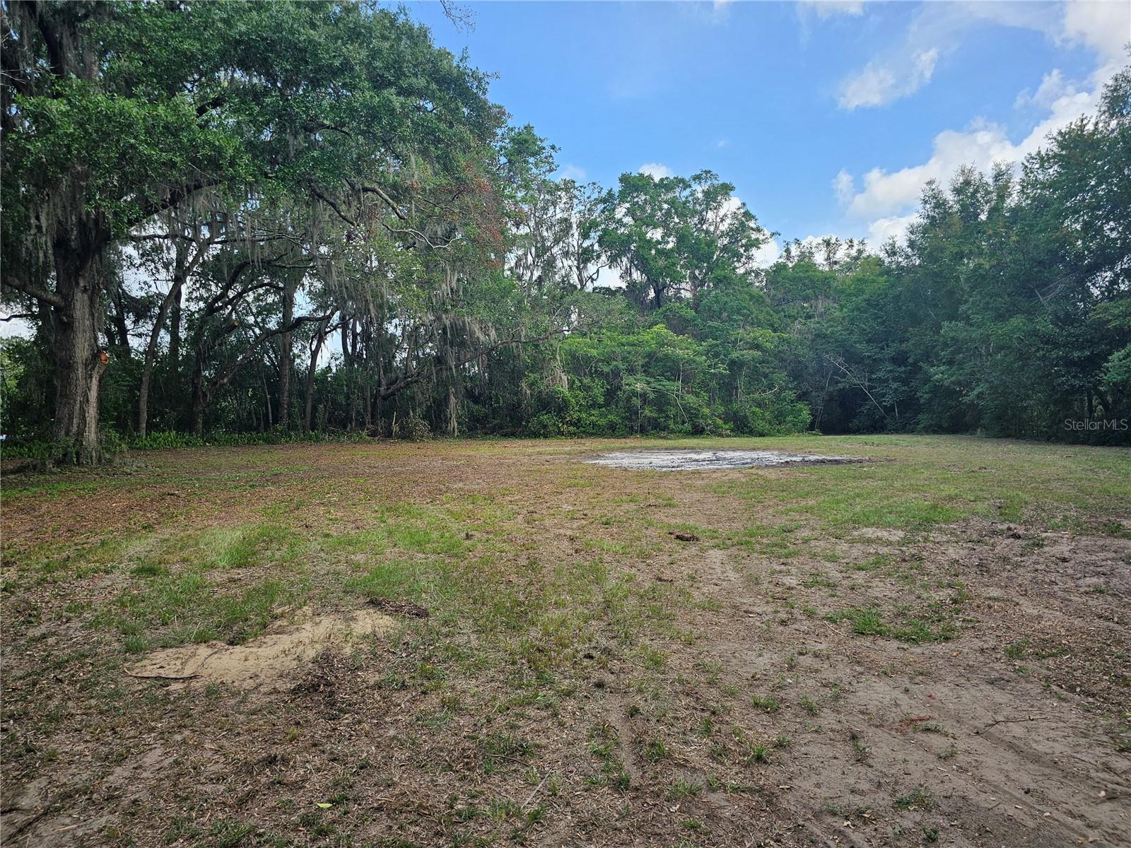 BELLEVIEW RIDGE ESTATE - Land