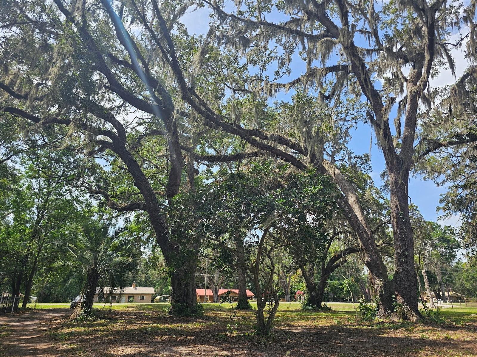 BELLEVIEW RIDGE ESTATE - Land