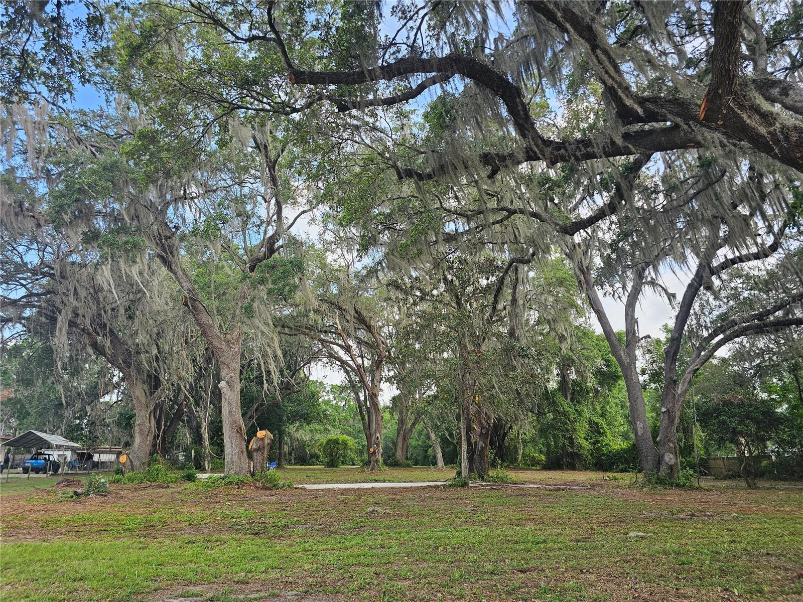 BELLEVIEW RIDGE ESTATE - Land