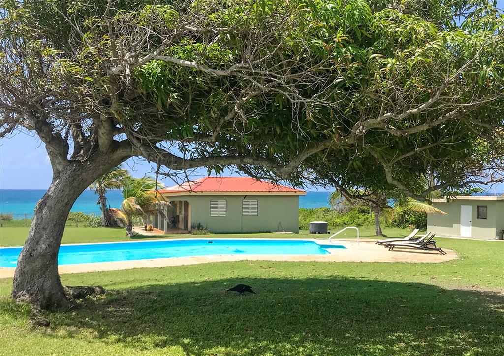 Hector’s By The Sea is located on two acres overlooking the deep-blue Caribbean Sea, on the island of Vieques, where one can see the sunrise and sunset while hearing and smelling the waves crash nearby. As a vacation spot for loyal customers over the years, it is now available for you to purchase and live the dream that you have always wanted.
Ideally located on the south side of Vieques, on the outskirts of Esperanza, Hector’s By The Sea is surrounded by a relaxing pastoral landscape. It is also located a short walk along the ocean to the world famous and popular Playa Negra Beach of Vieques, also known as Playa Negra.
On the well manicured two acres, this guesthouse has two buildings which house the rental units. There are three units in total, which each have private bathrooms, efficiency kitchens, and outdoor patios.
The owner’s home has two bedrooms, two bathrooms, living room, dining room, fully equipped kitchen and outdoor patio. All guests share the salt-water pool located in the middle of the property. The property also comes equipped with an automatic generator.
There is a separate gazebo with full kitchen, bar setup and spectacular ocean views and the cayos located off of Esperanza. The space is ideal for weddings and private events and has been home to a very popular weekly social gathering. The revenue generating options from this space alone are endless.
Hector’s By The Sea has held consistent 5-star ratings on TripAdvisor and has been named to their list of top B&B/Inns in the Caribbean. It is the ideal location for family vacations, honeymoons, weddings and group gatherings. The loyal following of annual guests, great reviews and picturesque location are all available for you to now take over and make your own.