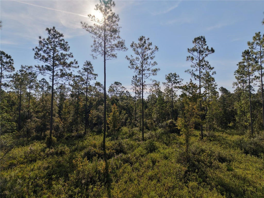 Photo of Off NE 212th St., Fort Mccoy, FL 32134 (MLS # OM733212)