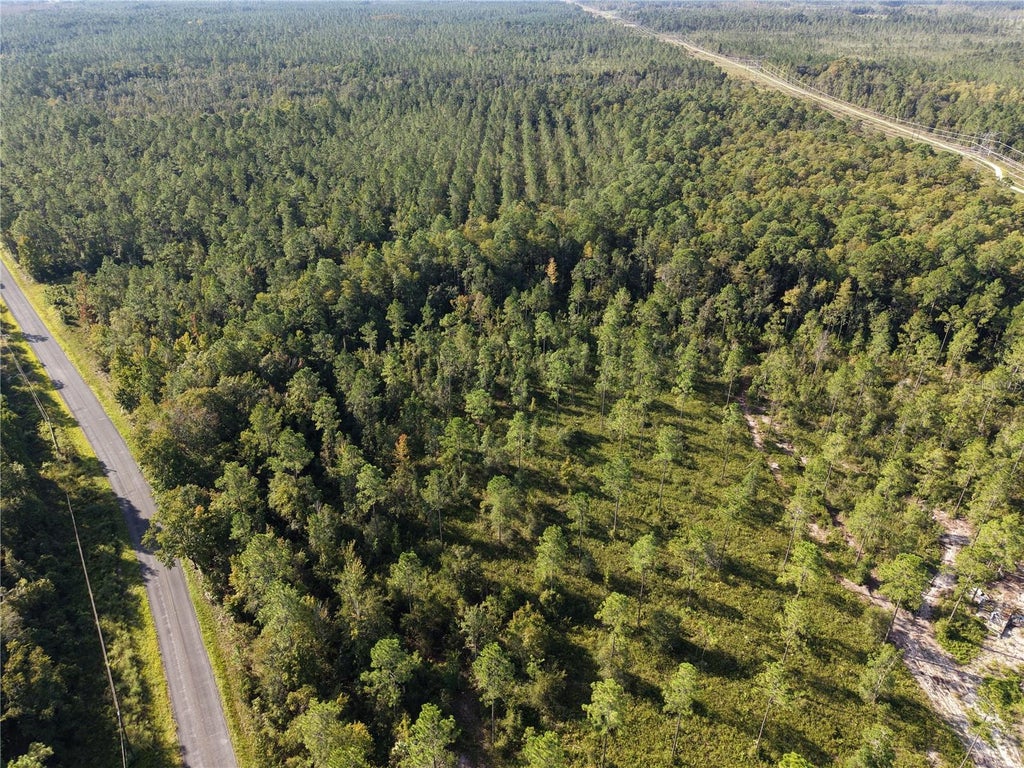 Photo of Off NE 212th St., Fort Mccoy, FL 32134 (MLS # OM733212)