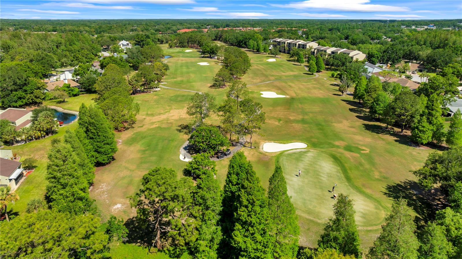 CARROLLWOOD VILLAGE PINE LAKE - Residential