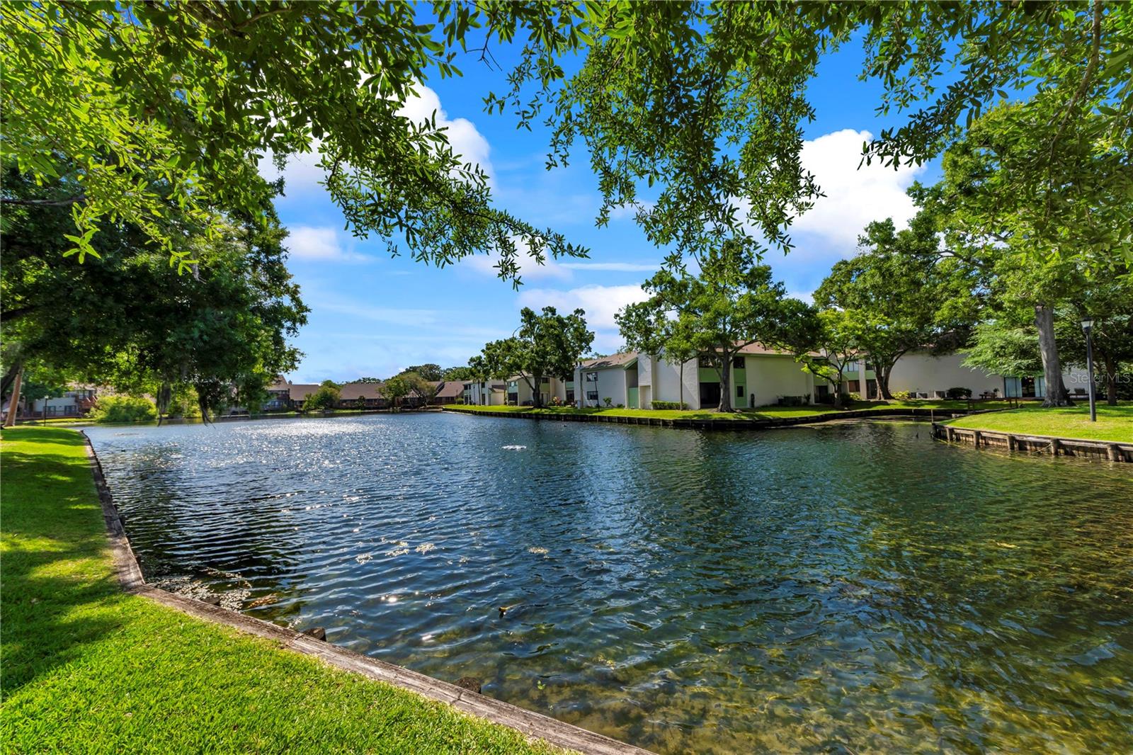 CARROLLWOOD VILLAGE PINE LAKE - Residential