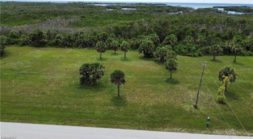 This oversized 0.46-acre multi-family zoned property in the growing Burnt Store Lakes area offers a rare opportunity for builders, investors, or future homeowners. Consisting of three combined lots, this nearly half-acre parcel allows for a spacious custom residence or potential multi-family development, with surrounding properties featuring both residential homes and income-producing properties. Located just minutes from Burnt Store Marina, Punta Gorda Airport, I-75, Cape Coral, and the upcoming Seven Islands project, this property is positioned in one of Southwest Florida’s fastest-growing areas. Residents enjoy access to public utilities, nearby boating, kayaking, dining, golf, and outdoor recreation. Seller may consider package opportunities and financing options may be available vía our lender partners.  Great opportunity to build now or invest for the future.



Only serious offers and no wholesalers. In summary, each lot is listed at $59,900 at .46 acres each. They are clear of trees.  There are three lots side by side -- only being sold as a package deal and not individual. Lot 9 (16791 San Edmundo Rd), Lot 10 (16801 San Edmundo Rd), Lot 11 (16801 San Edmundo Rd). 

Zoning allows for multi-families and or single family houses, you can build duplexes or town homes here. If you need professional resources like architects, engineers and builders and lenders we can assist with that.