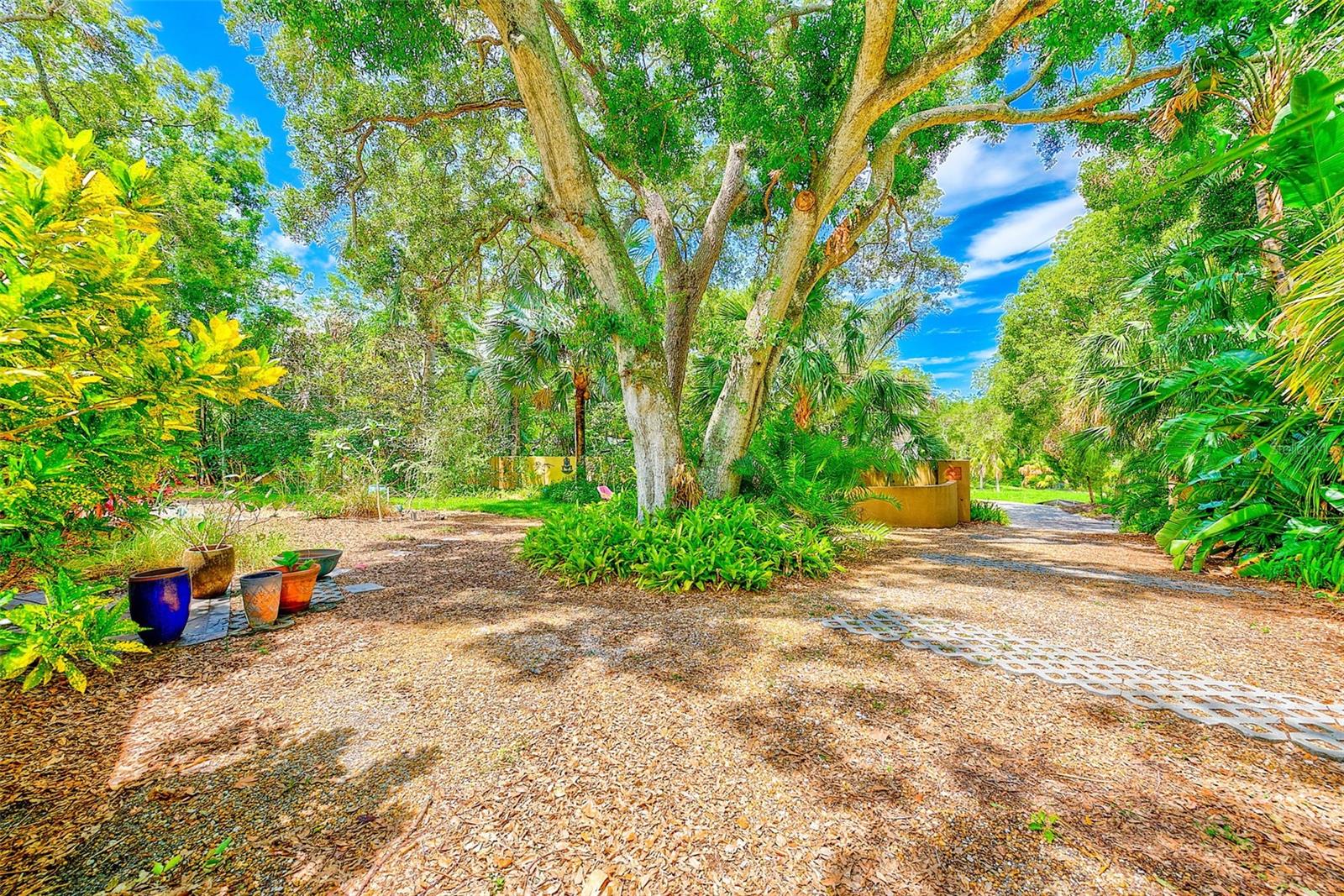 BELLEAIR - Residential