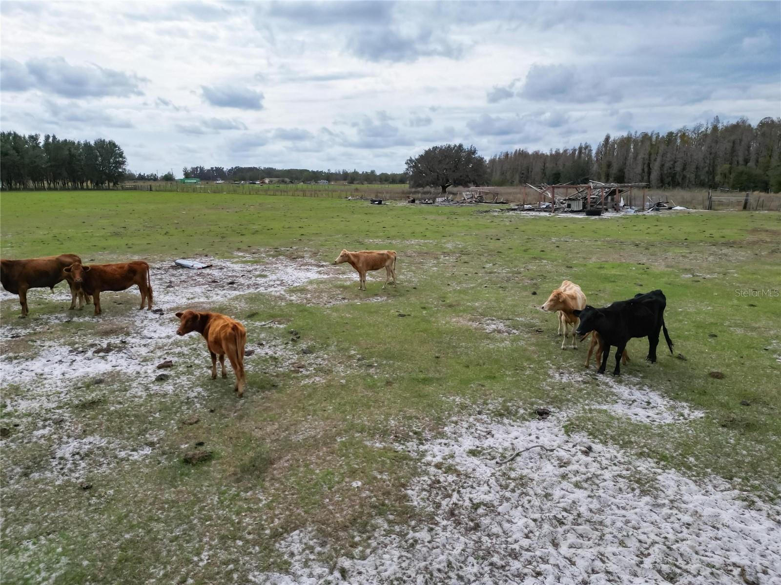 UNPLATTED - Residential