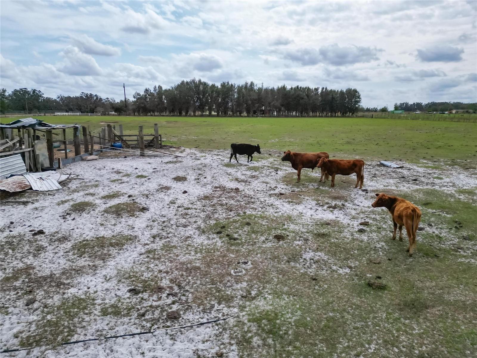 UNPLATTED - Residential