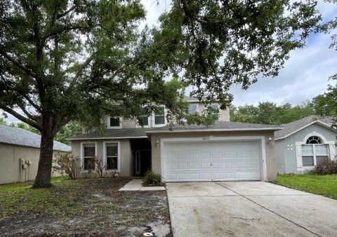 Photo of 19222 Wood Sage Drive, Tampa, FL 33647 (MLS # O6397675)
