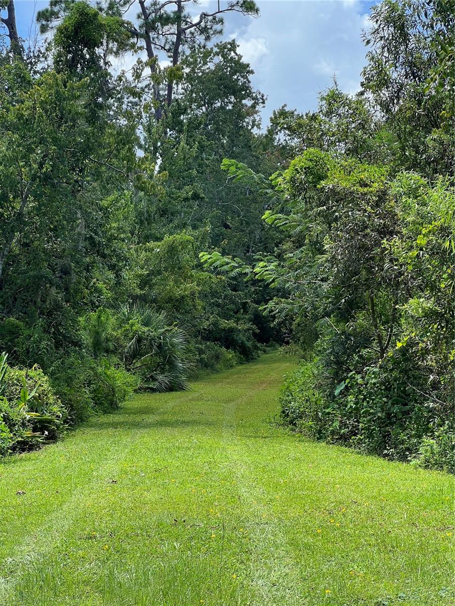 Photo of 1292 Hickory Drive, Longwood, FL 32779 (MLS # O6428088)