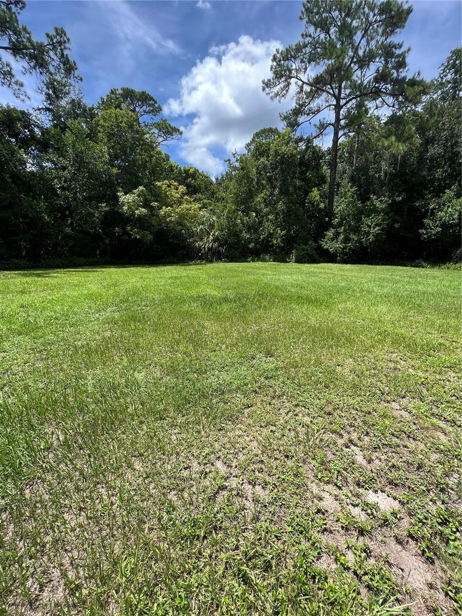 1292 HICKORY DRIVE