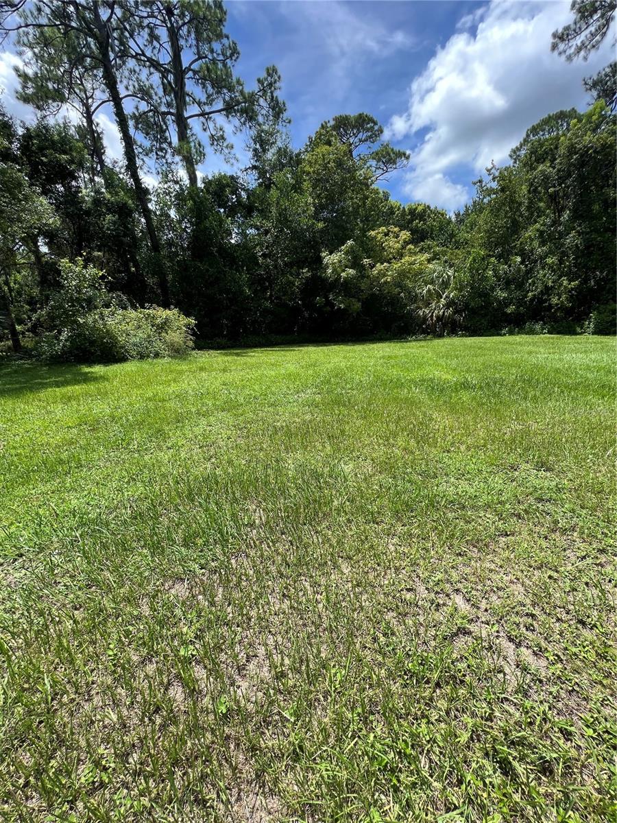 1292 HICKORY DRIVE