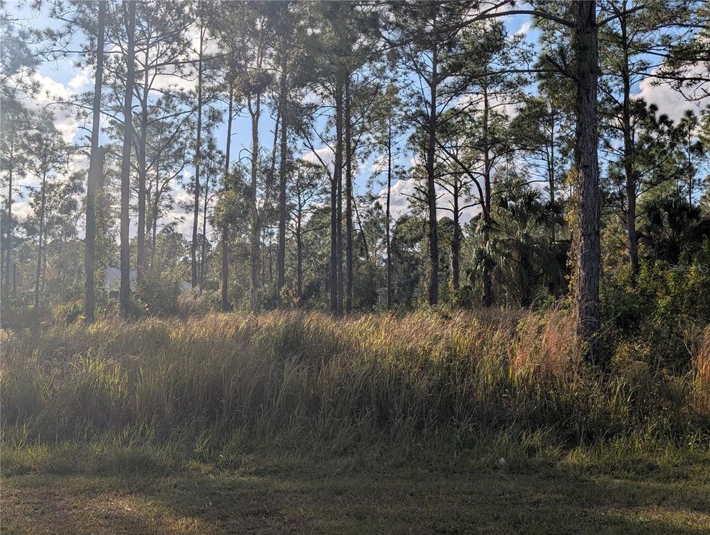 Photo of 5 Lantana Drive S, Indian Lake Estates, FL 33855 (MLS # P4937634)