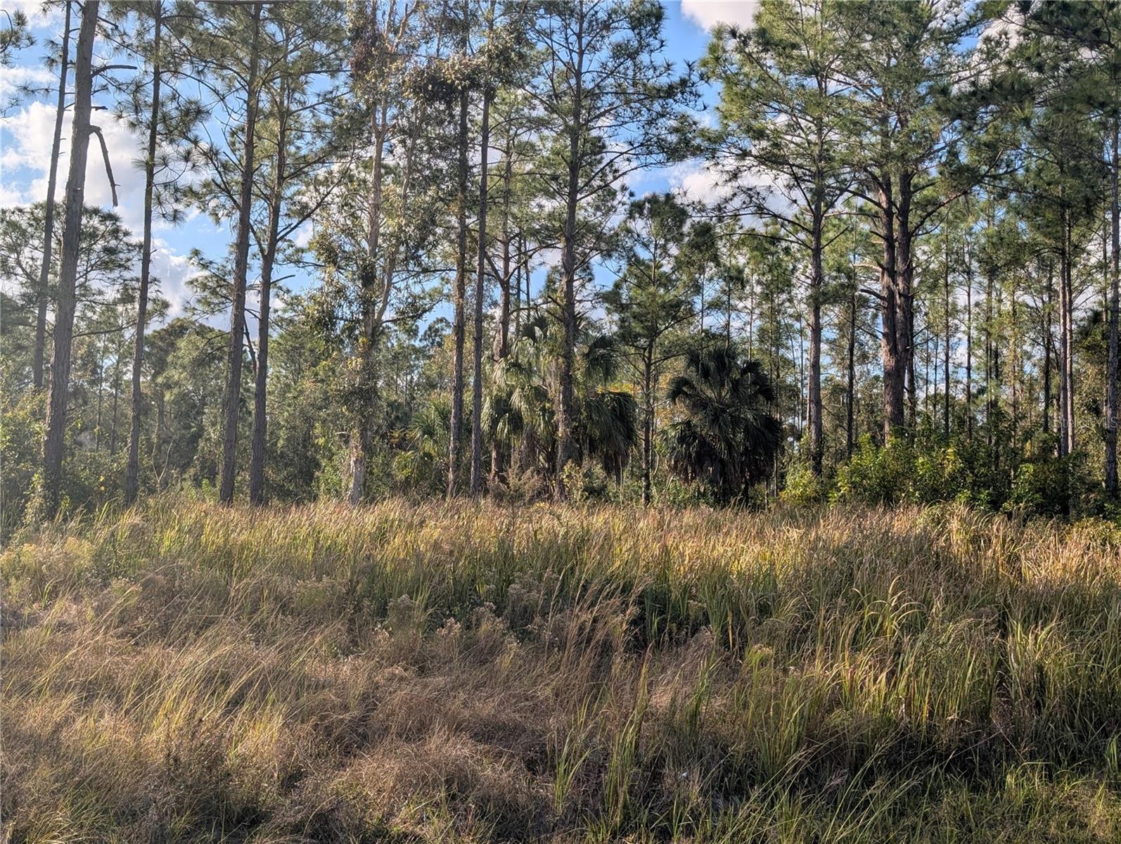 INDIAN LAKE ESTATES - Land