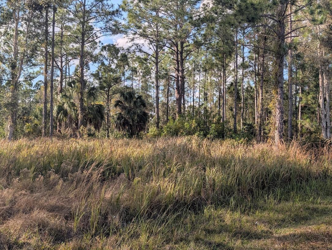 INDIAN LAKE ESTATES - Land