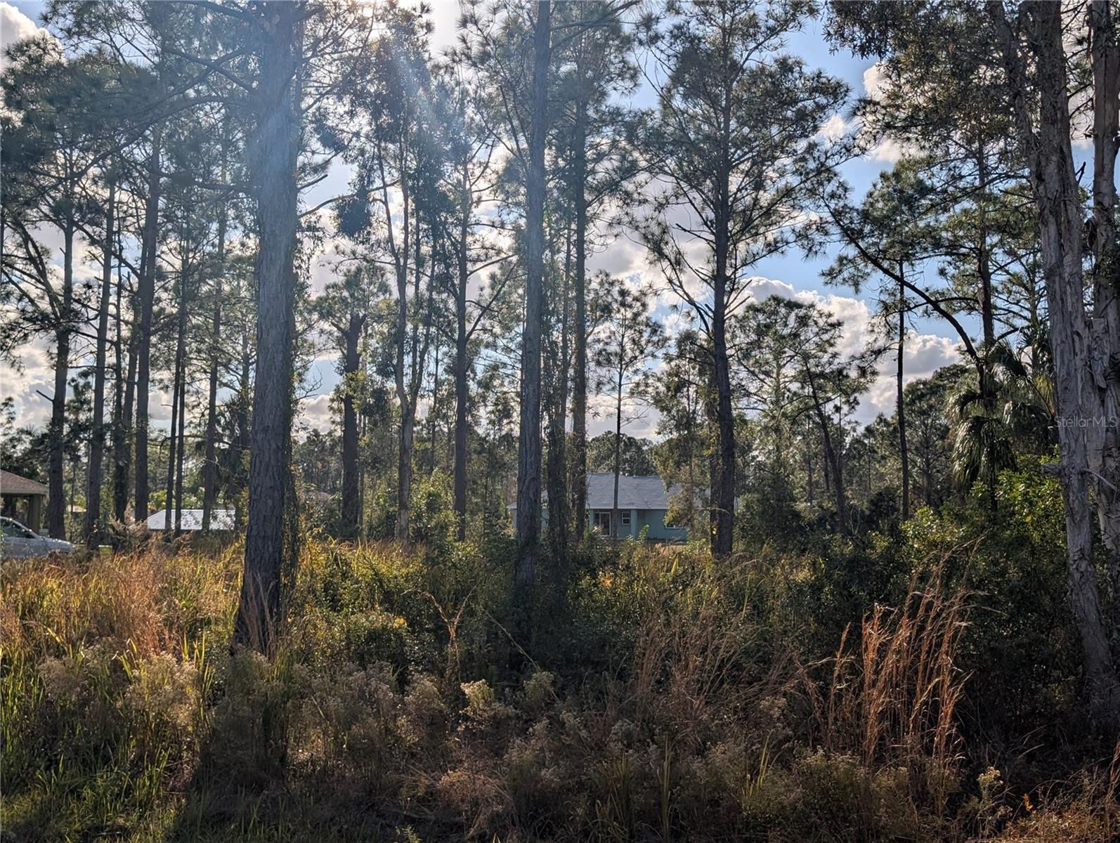 INDIAN LAKE ESTATES - Land