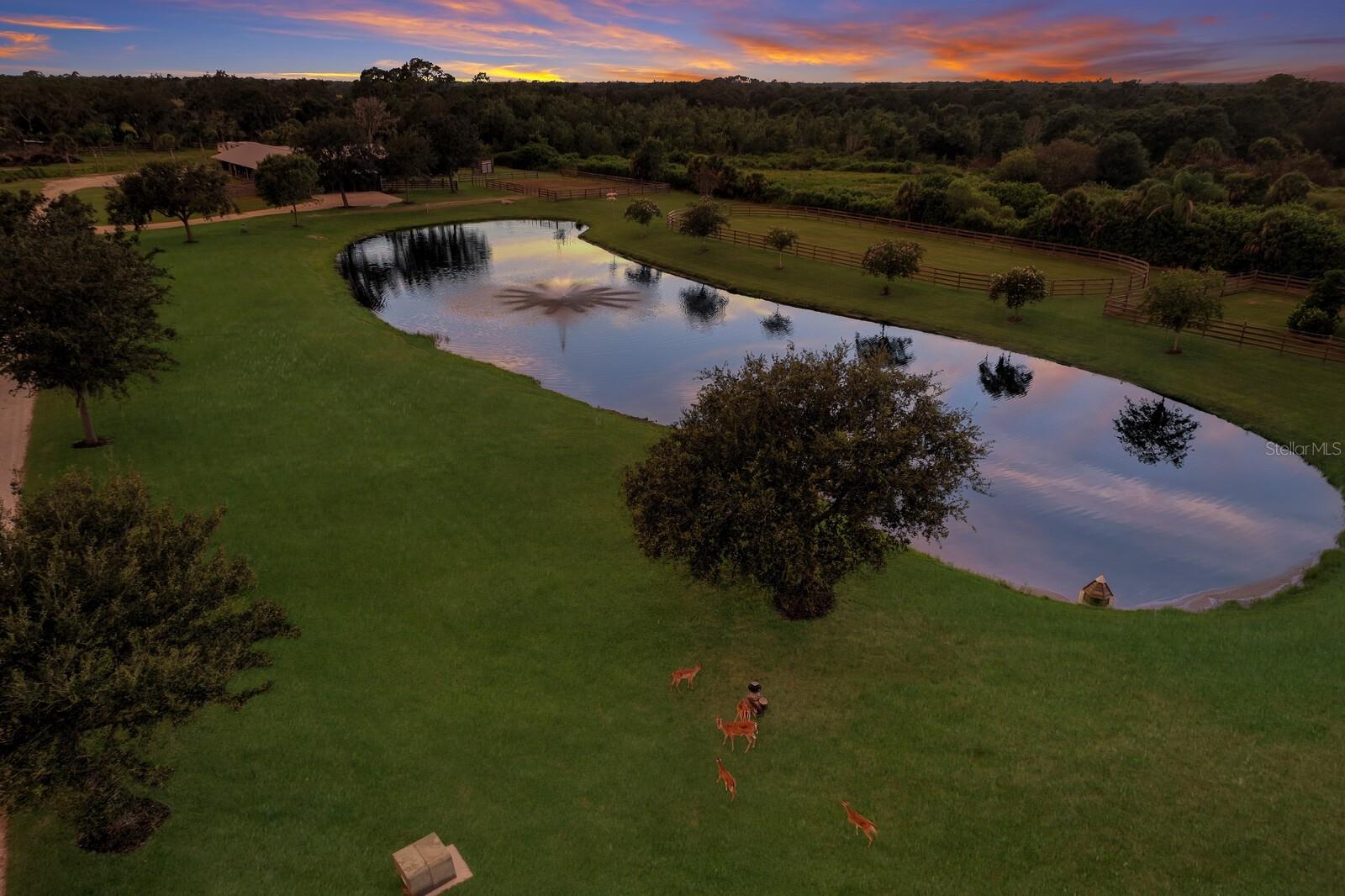 MYAKKA VALLEY RANCHES - Residential