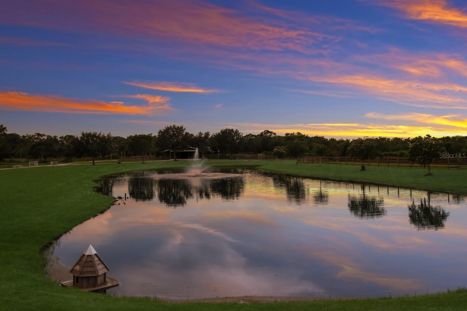MYAKKA VALLEY RANCHES - Residential