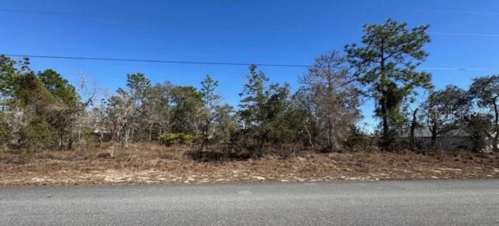 Photo of 10340 Flycatcher Road, Brooksville, FL 34613 (MLS # TB8466368)