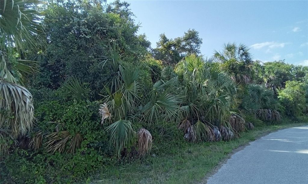 Photo of Blueberry Road, North Port, FL 34288 (MLS # OM715687)