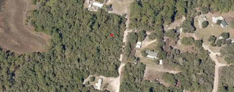 Tiny photo for SE 215th Avenue, Umatilla, FL 32784 (MLS # C7526392)
