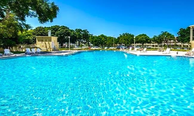 ON TOP OF THE WORLD - Residential Lease