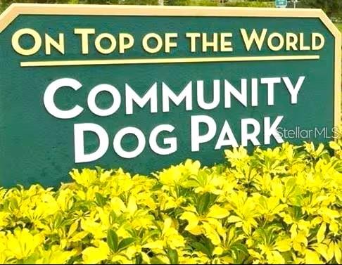 ON TOP OF THE WORLD - Residential Lease