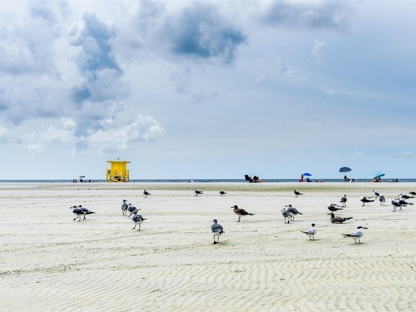 GULF GATE WOODS - Residential