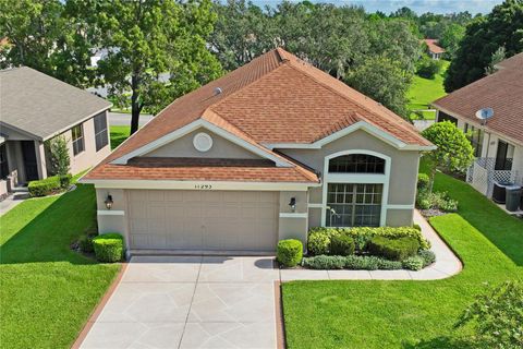 Photo of 11293 Copley Court, Spring Hill, FL 34609 (MLS # W7877828)
