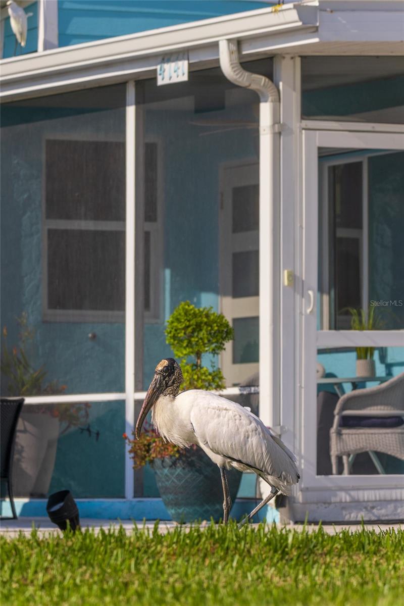 SOUTH VENICE - Residential