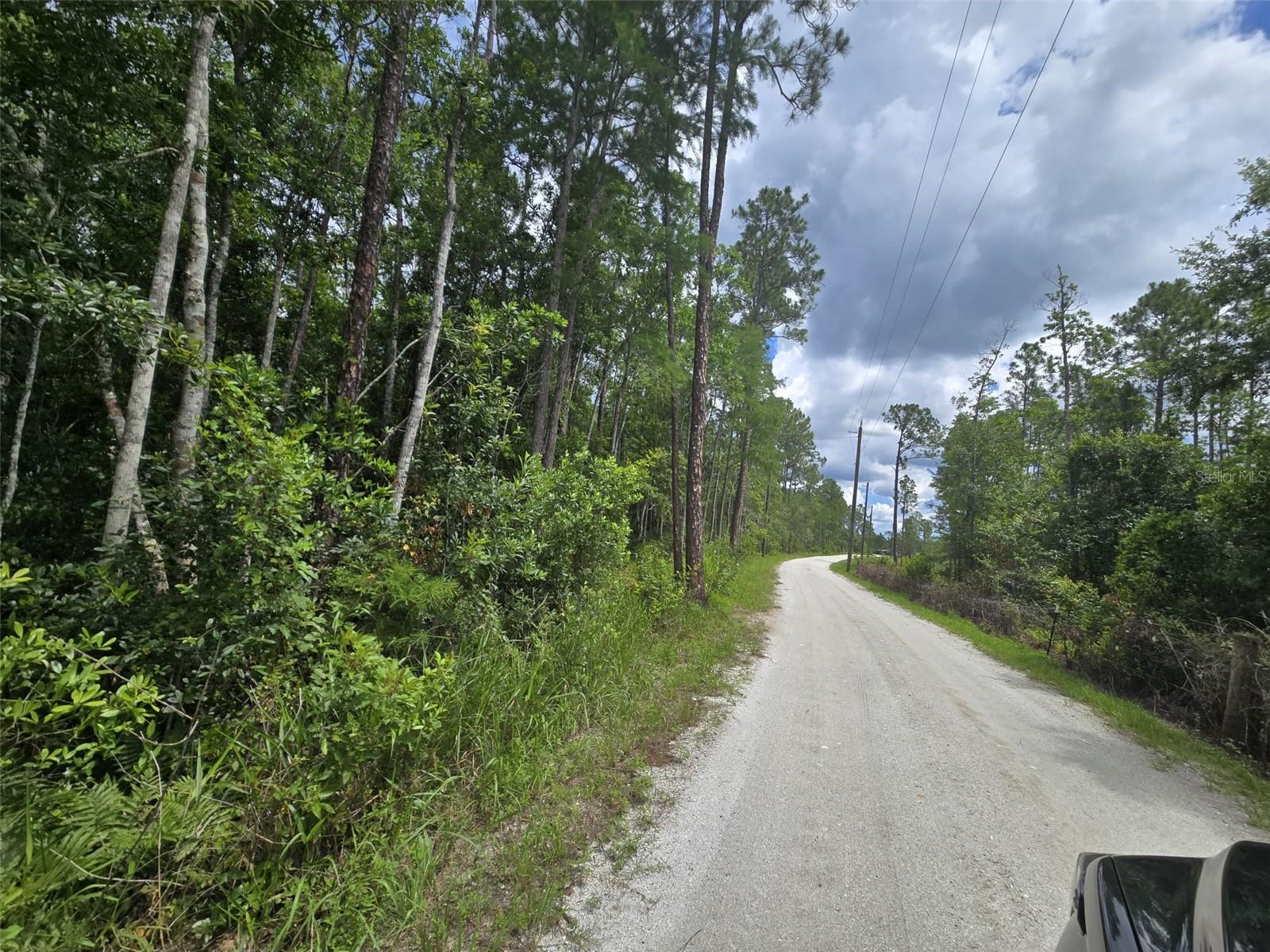 1135 OMEGA RANCH ROAD 4&5
