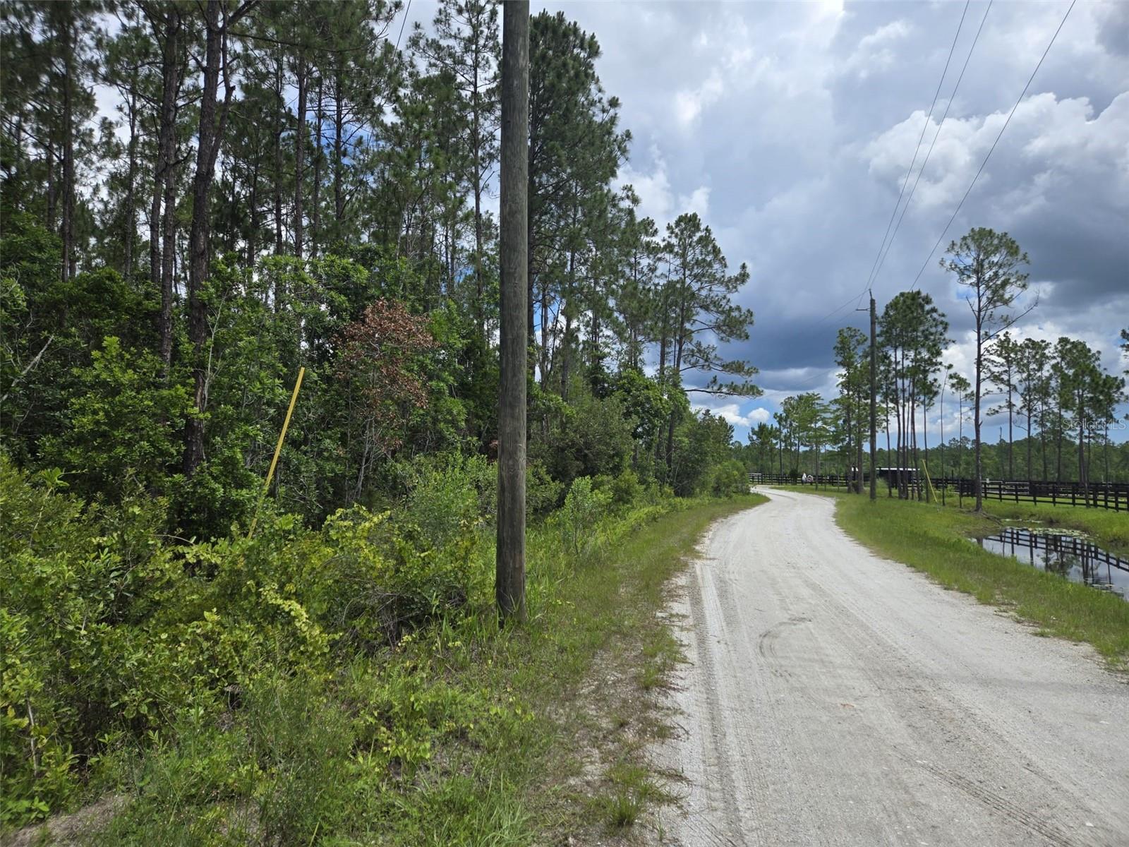 1135 OMEGA RANCH ROAD 4&5