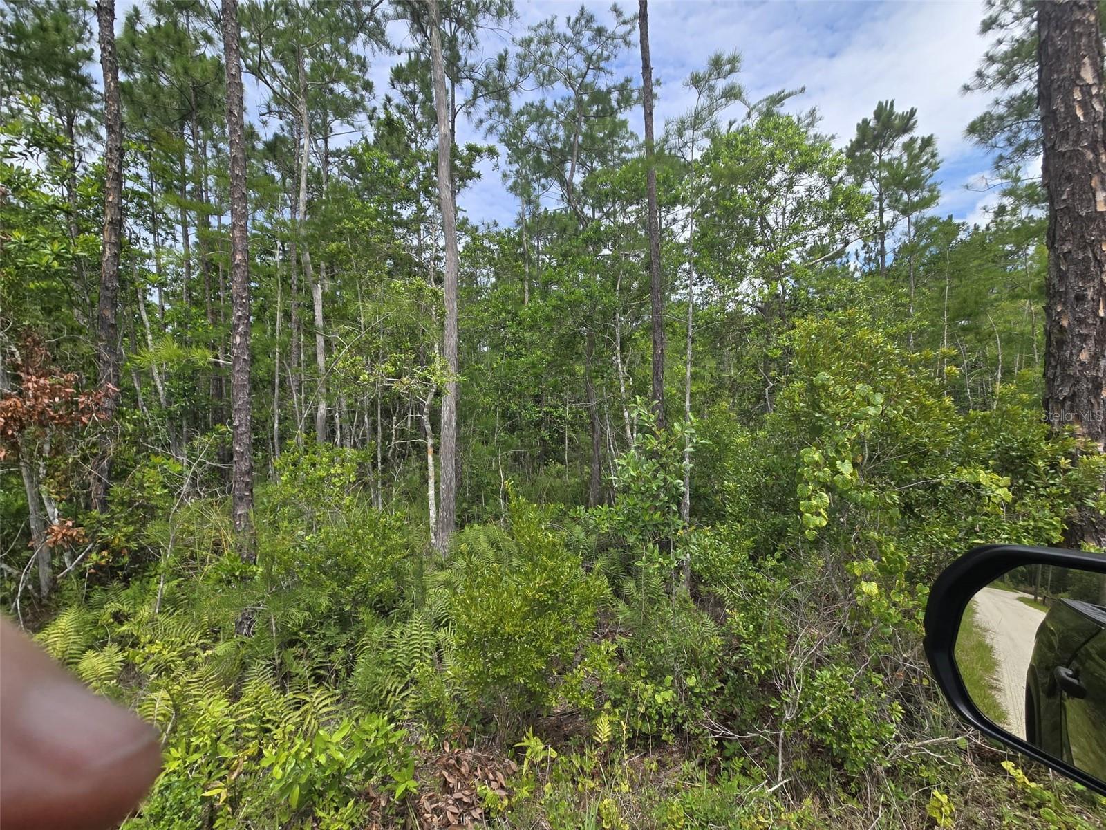 1135 OMEGA RANCH ROAD 4&5