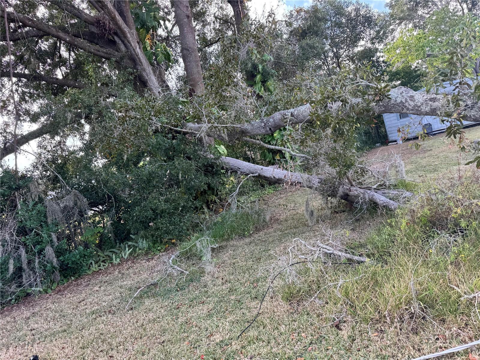 UNPLATTED - Residential