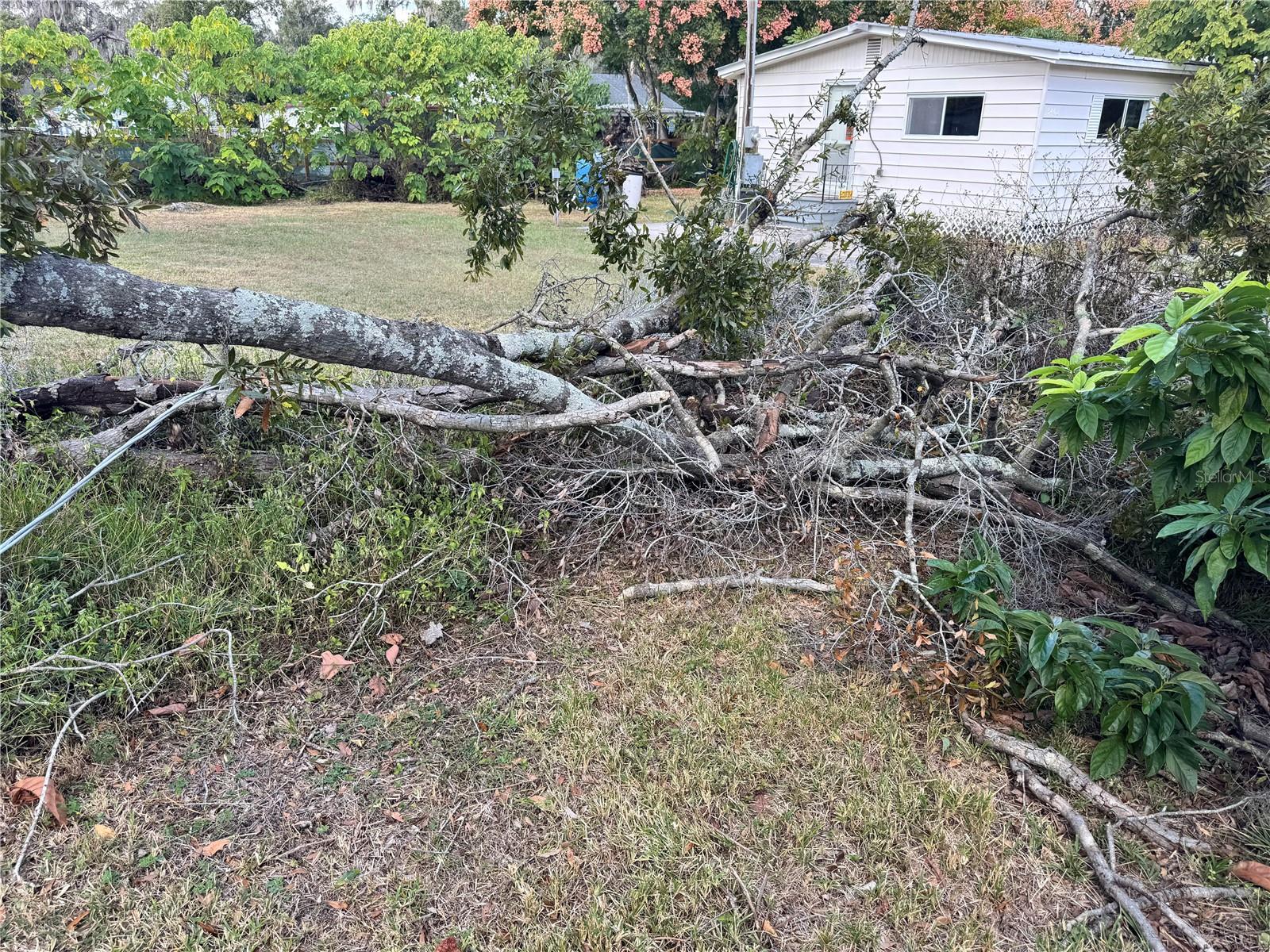 UNPLATTED - Residential