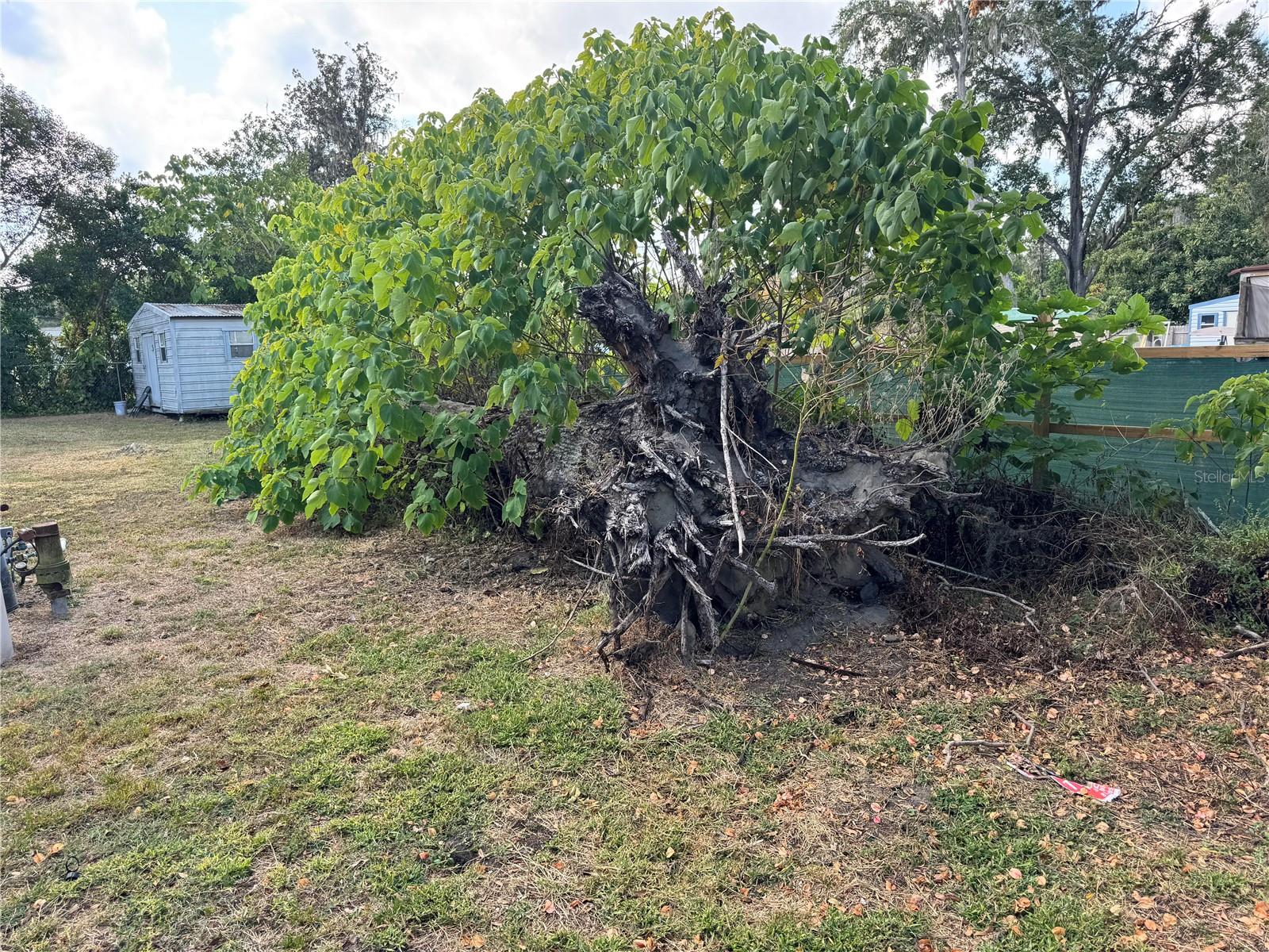 UNPLATTED - Residential