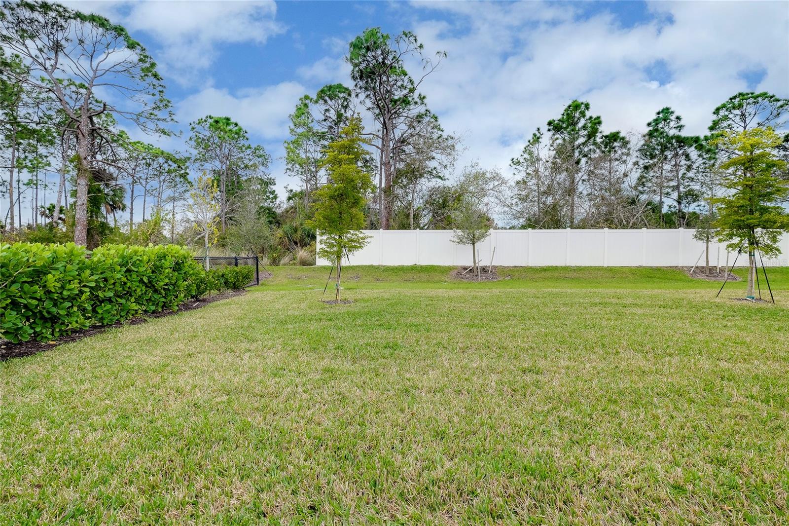 PALENCIA - Residential