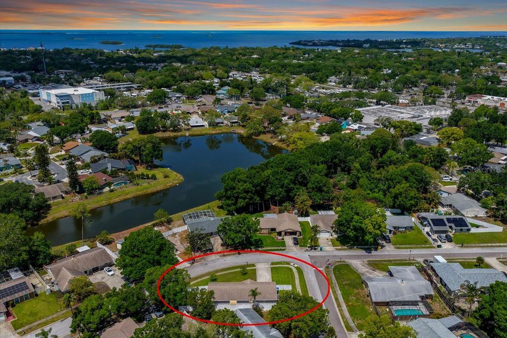 Photo of 300 Sweetgum Court, Palm Harbor, FL 34683 (MLS # TB8496451)