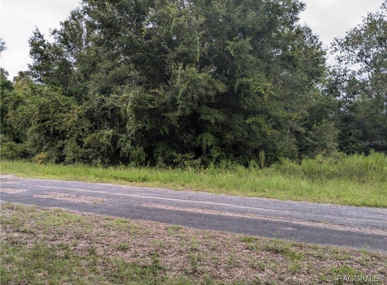 CITRUS SPGS UNIT 01 - Land