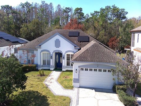 14208 CHARMONT COURT ORLANDO FL 32837