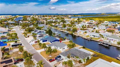 A home in APOLLO BEACH